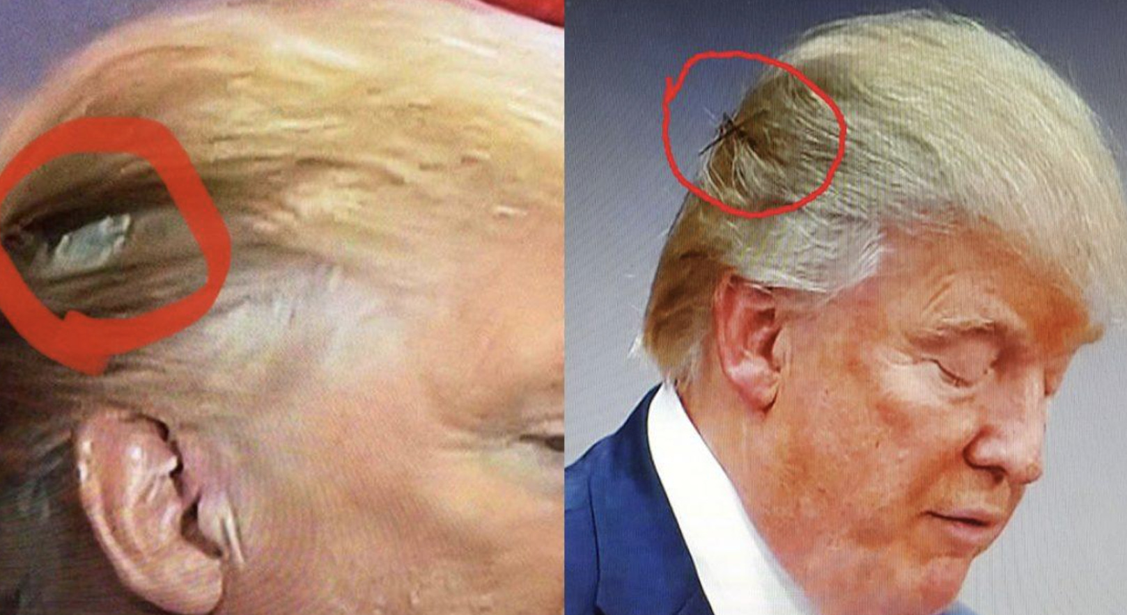 Trump Says It Takes About An Hour To Do His Hair — So We Took A Look Into That